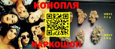 соль ск Гатчина