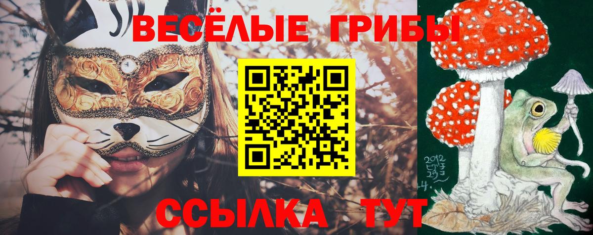 Галлюциногенные грибы мухоморы  Галлюциногенные грибы Psilocybe  Вход с VPN  Новочебоксарск 