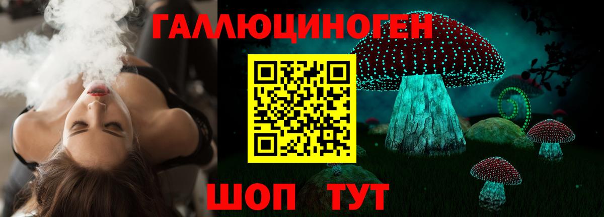 Галлюциногенные грибы Psilocybe Новочебоксарск